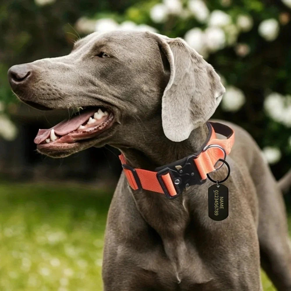 Personalized Tactical Dog Collar Adjustable Military Training Nylon Dog Collar with NamePlate Metal Buckle for Dogs