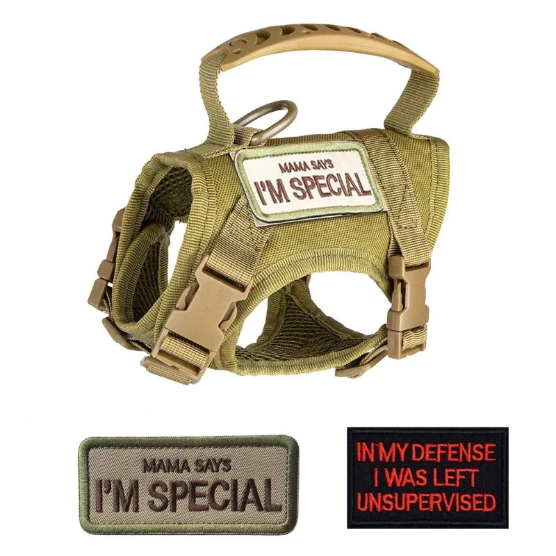 Tactical Harness Vest Dog Harness Leash Set for Small Dogs Training Easy Control Vest Pet Chest Strap Accessories for Puppy Cat H