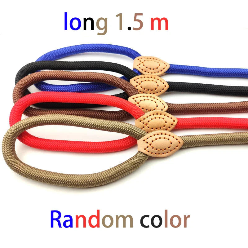 Adjustable Nylon Dog Collar and Harness with Quick-Release Leash, Lightweight Durable Pet Lead for Dogs and Cats Random color 1.5m