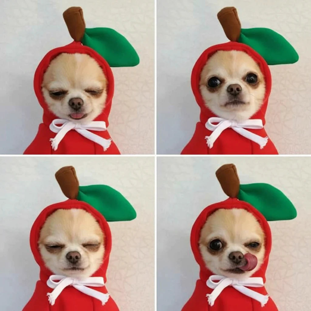 Cute Fruit Pet Hoodie Sweater – Warm Costume for Cats and Small Dogs Red Apple