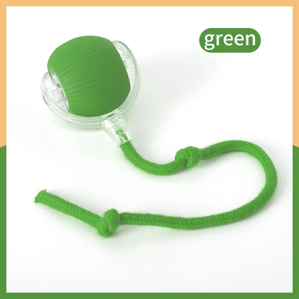 USB Rechargeable Smart Rolling Cat Ball Toy with Tail Lamp – Interactive Automatic Motion Toy for Cats & Small Dogs green