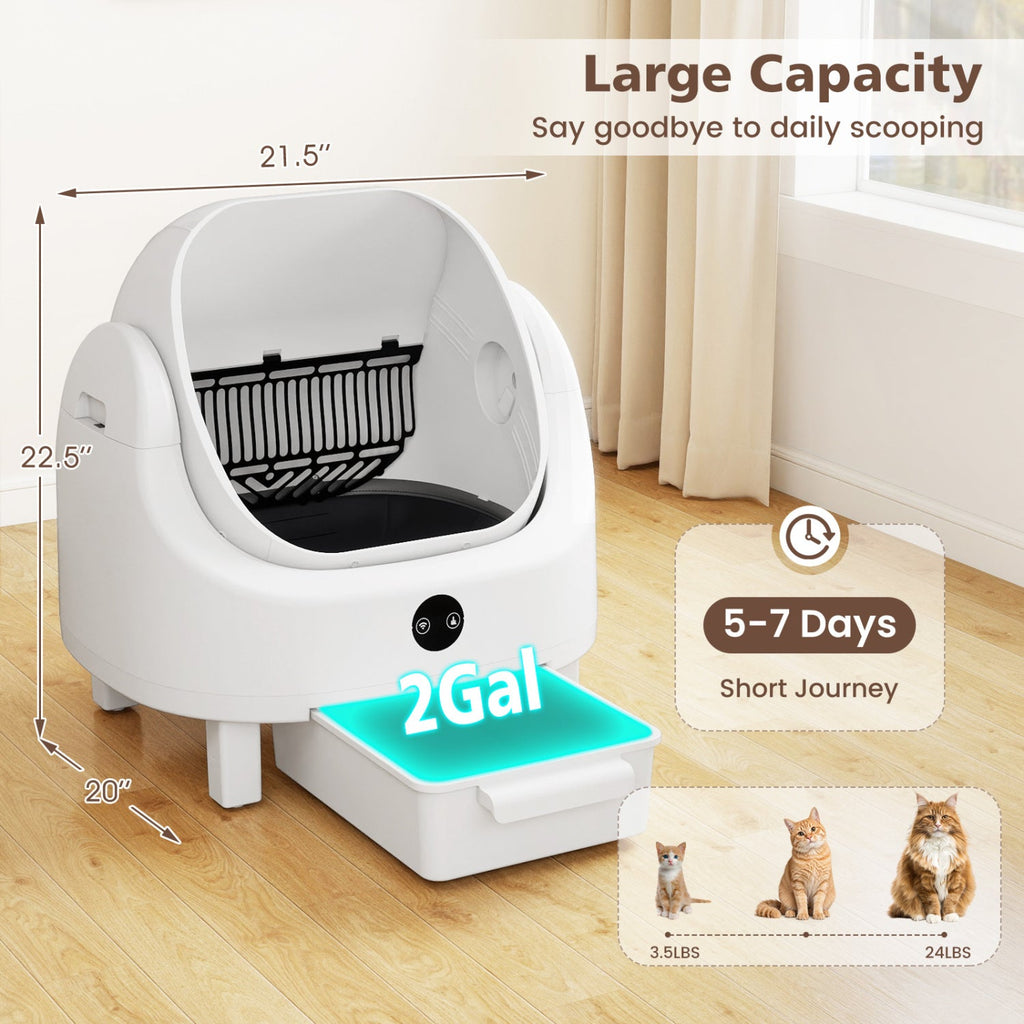 Self-Cleaning Cat Litter Box with APP Control & Open Top