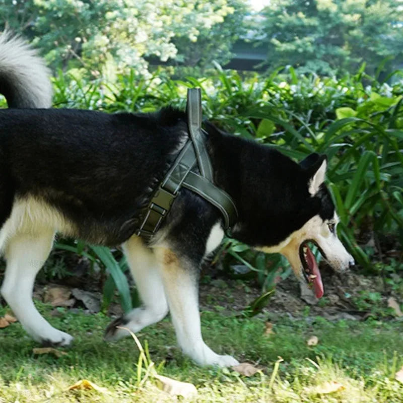Outdoor Training Vest A7 Dog Traction Rope Dog Harness 1000D Nylon Adjustable Tactical Anti-Pull Dog Harness for Large Dogs