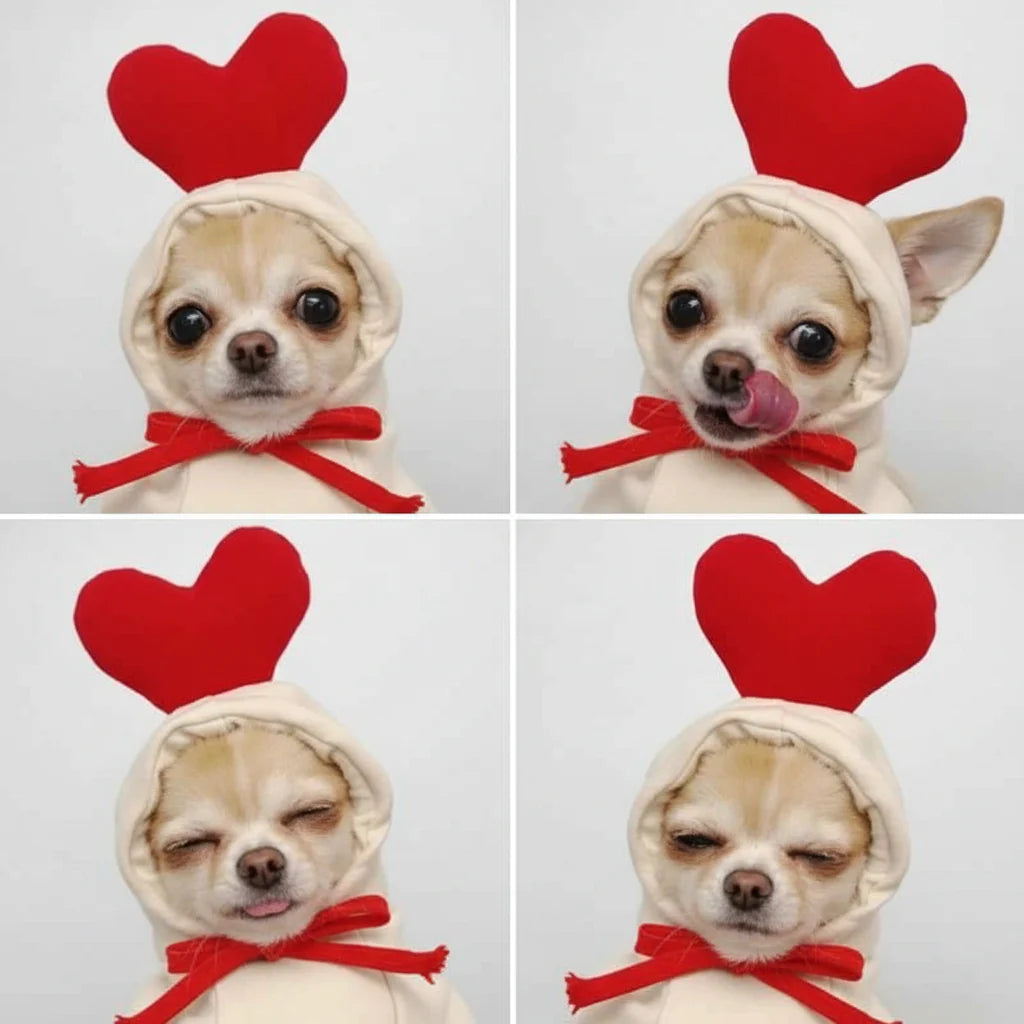 Cute Fruit Pet Hoodie Sweater – Warm Costume for Cats and Small Dogs White Love