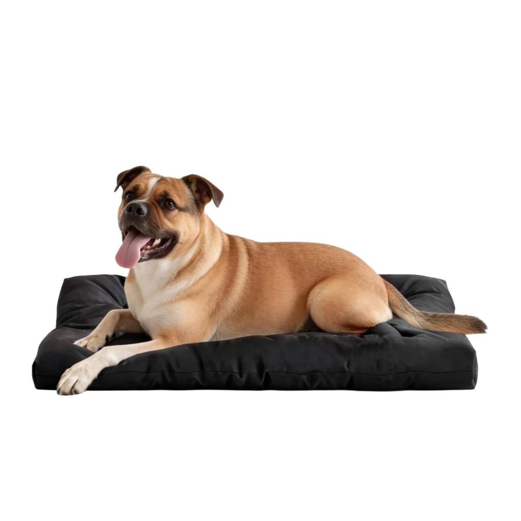 NEWEST Chew Proof Dog Bed, Indestructible for Large Size Durable Dog Crate Pad, Waterproof & Washable Tough Kennel Pet Mats, Suitable for Aggressive Chewers (Black, L-35*22in)