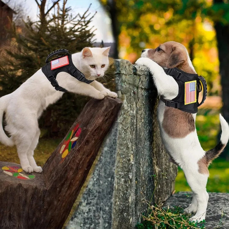 Tactical Small Dog Harness For Puppy Cats Adjustable Kitten Vest Harnesses For Military Dogs Working Training Walking Free Size