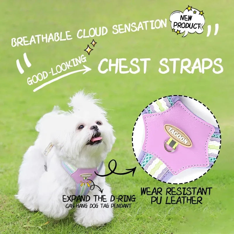 Dog Collars Leash Pet Collar Big Harness Tactical Vest Supplies Pets Dogs Things Small Accessories Cats Puppy Chest Products