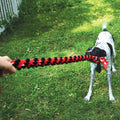 Rope Dual Knot with Ball for Dogs