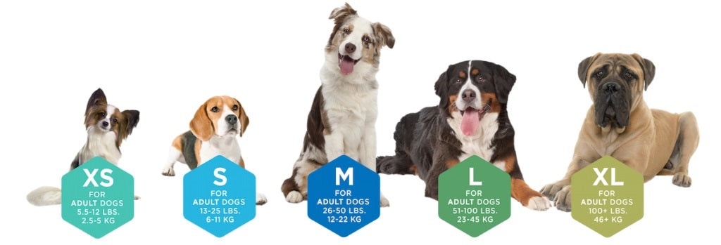 Dental Chew for Dogs - Yummy Combs