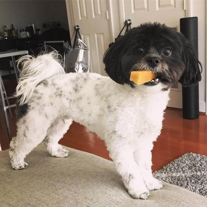 Himalayan Yak Cheese Dog Chews Small