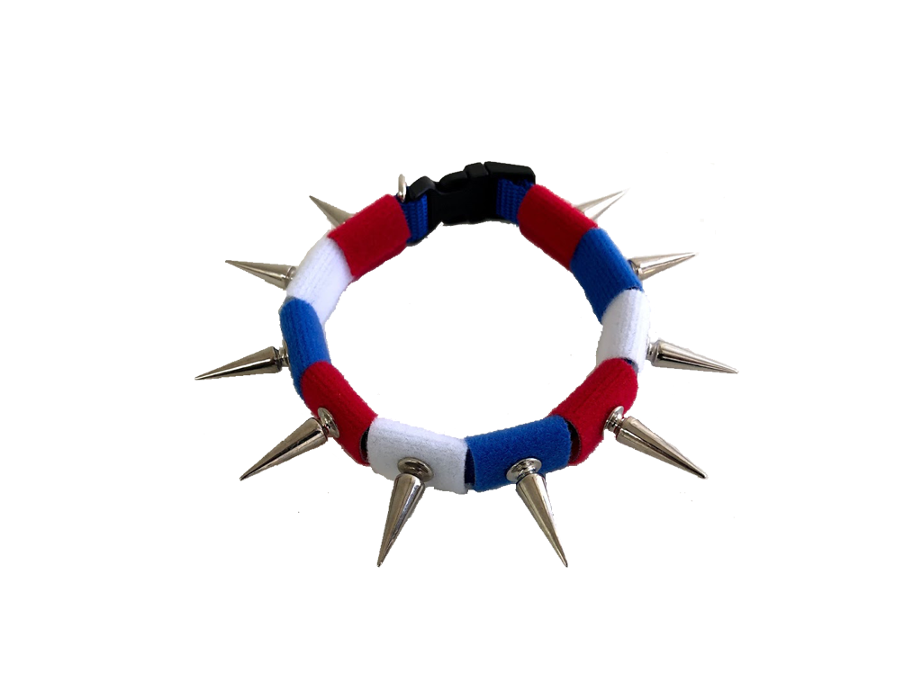 CoyoteCollar Small Multicolor