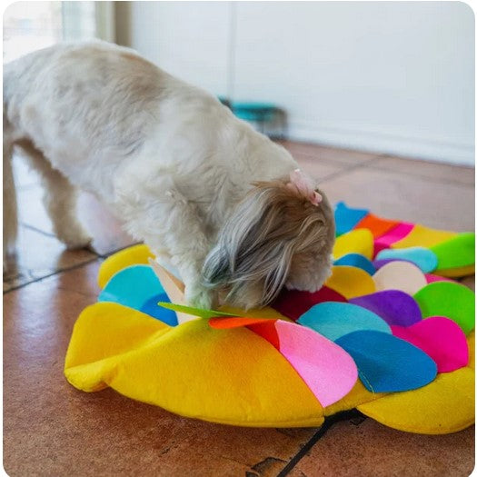 Hide a Treat Snuffle Mat for Dogs Fish