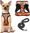 Step-In Dog Harness & Leash Set in Various Patterns – Reflective No Pull (XS- XL) Halloween Xsmall(Chest Girth 13" - 14.5")