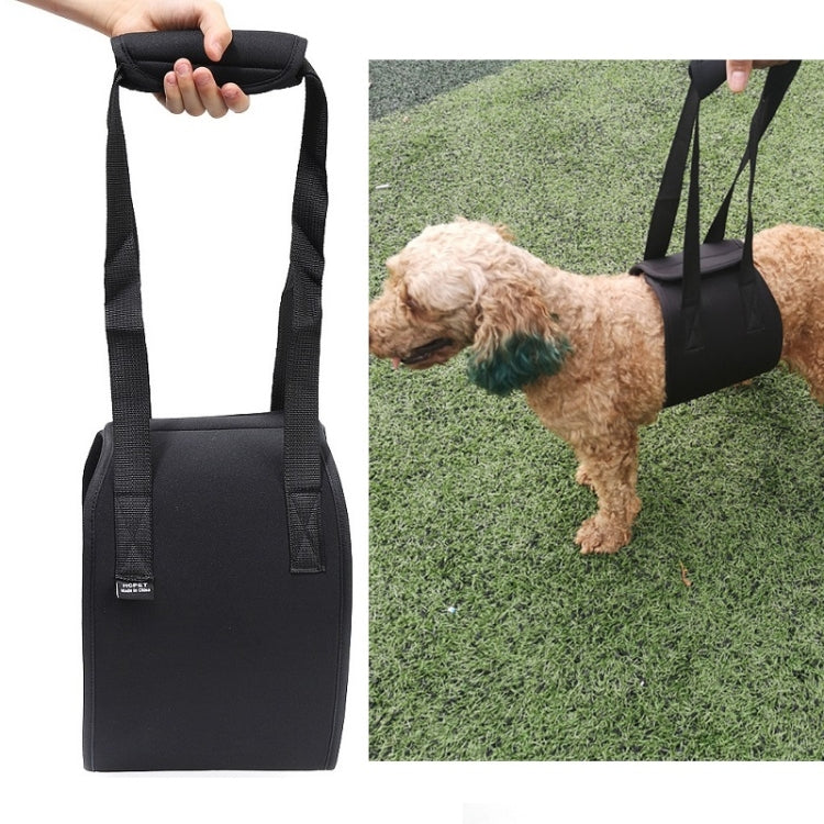 HCPET F1905 Disabled Dogs Assistive Belts Elderly Dogs Walking Assisted Leashes Pet Supplies, Size: S(Black)