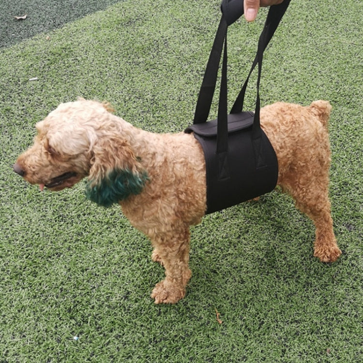 HCPET F1905 Disabled Dogs Assistive Belts Elderly Dogs Walking Assisted Leashes Pet Supplies, Size: S(Red)