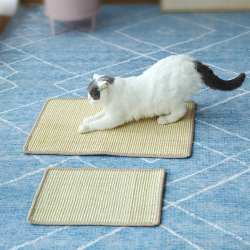Cat Scratch Pad Pet Supplies Carpet Sleeping Mat Cat Placemat, Random Color Delivery, Specification: Overlock 50x80cm