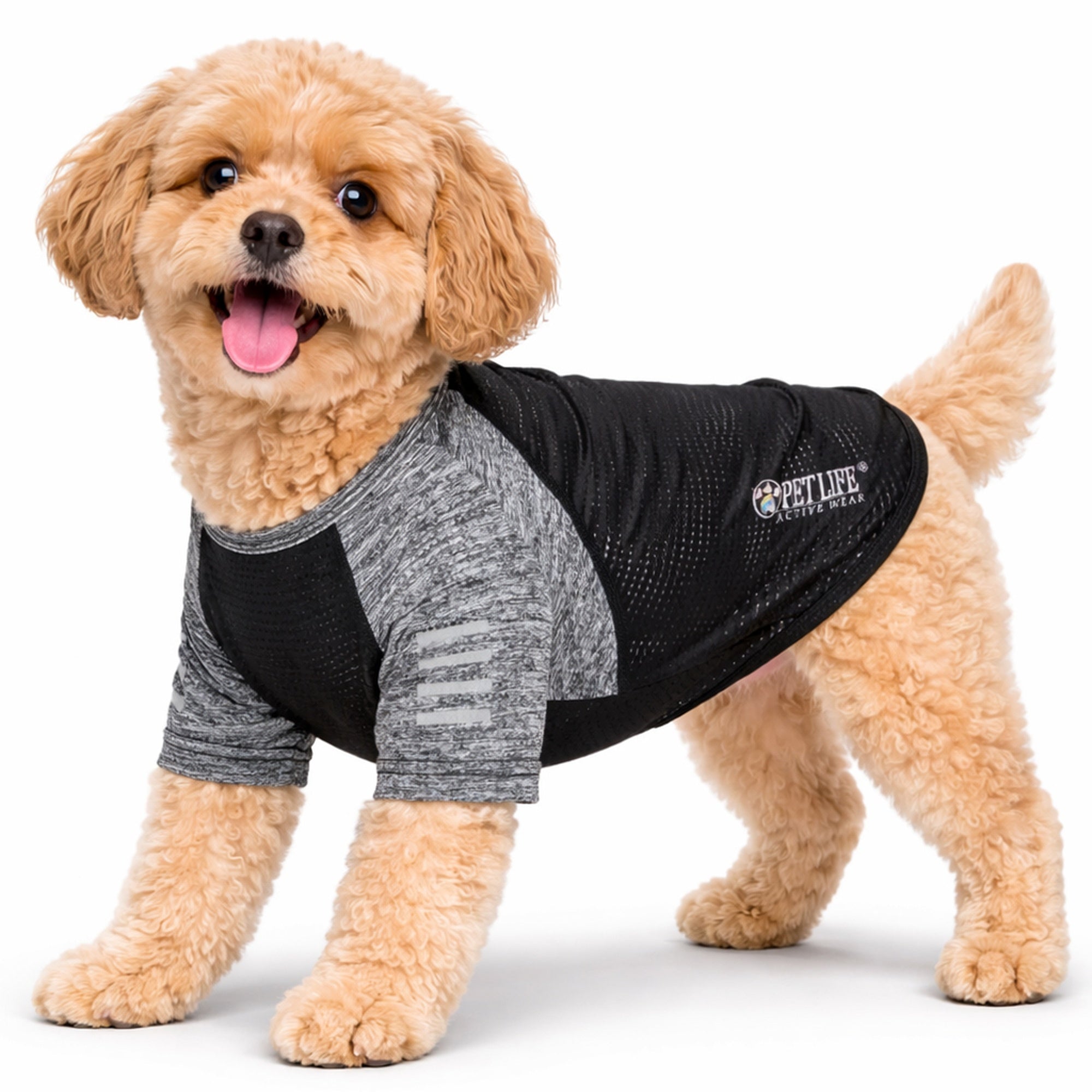 Pet Life ® Active 'Hybreed' 4-Way-Stretch Fitness Performance Dog T-Shirt Black Gray