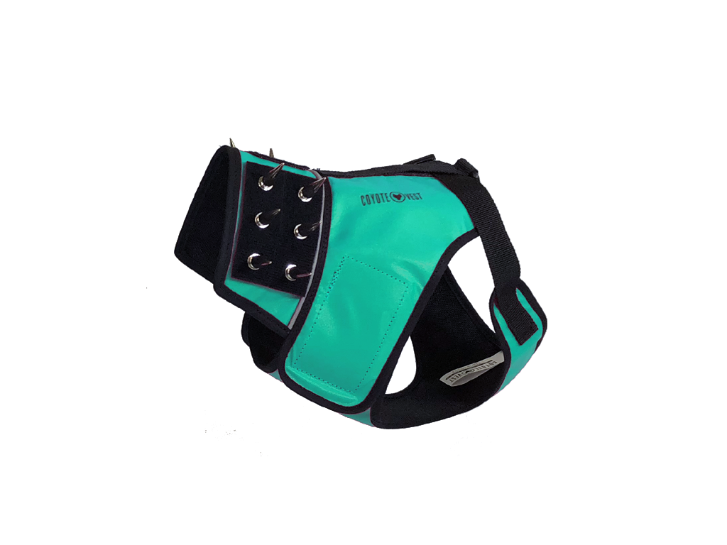 SpikeHarness Medium Turquoise