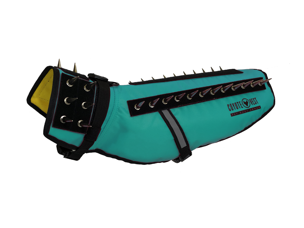 CoyoteVest Medium Turquoise