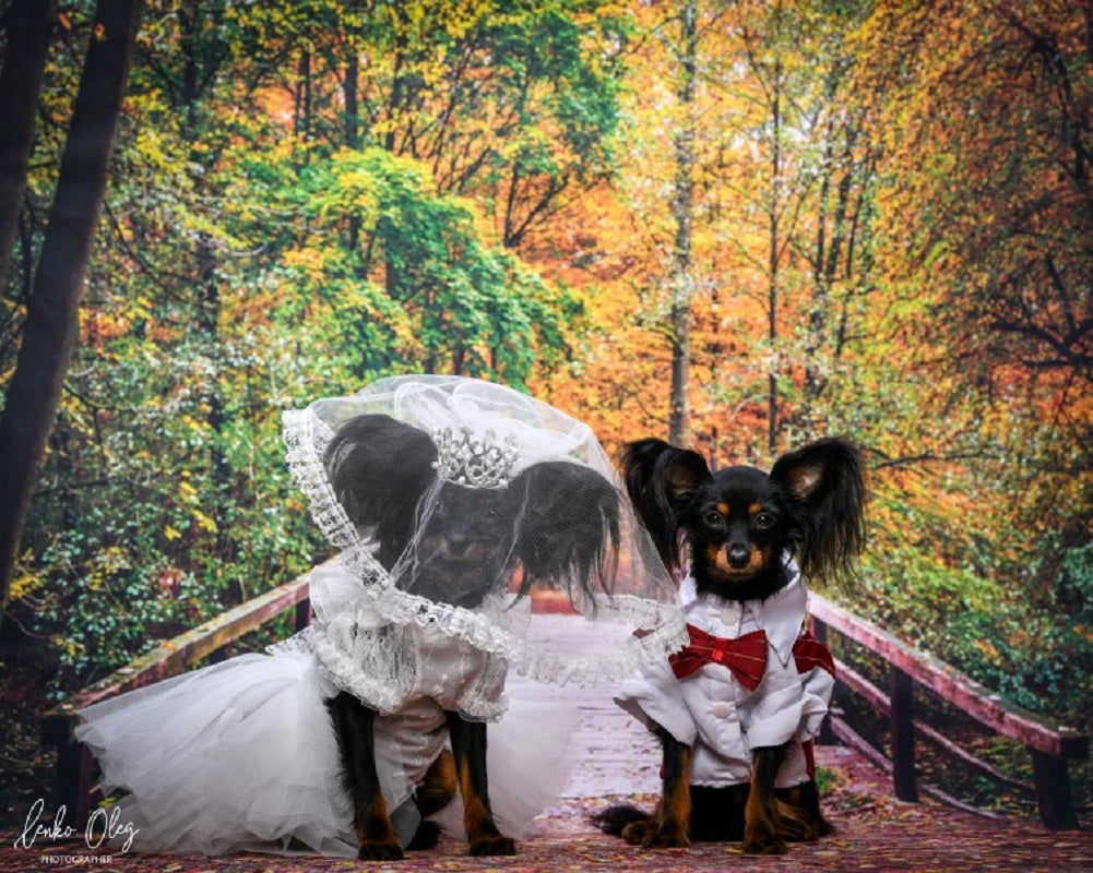 Luxury Pet Bridal Veil with Pearl Crown – Elegant Wedding Tiara Veil for Dogs & Cats