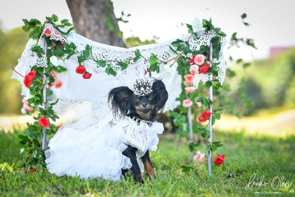 Luxury Pet Bridal Veil with Pearl Crown – Elegant Wedding Tiara Veil for Dogs & Cats