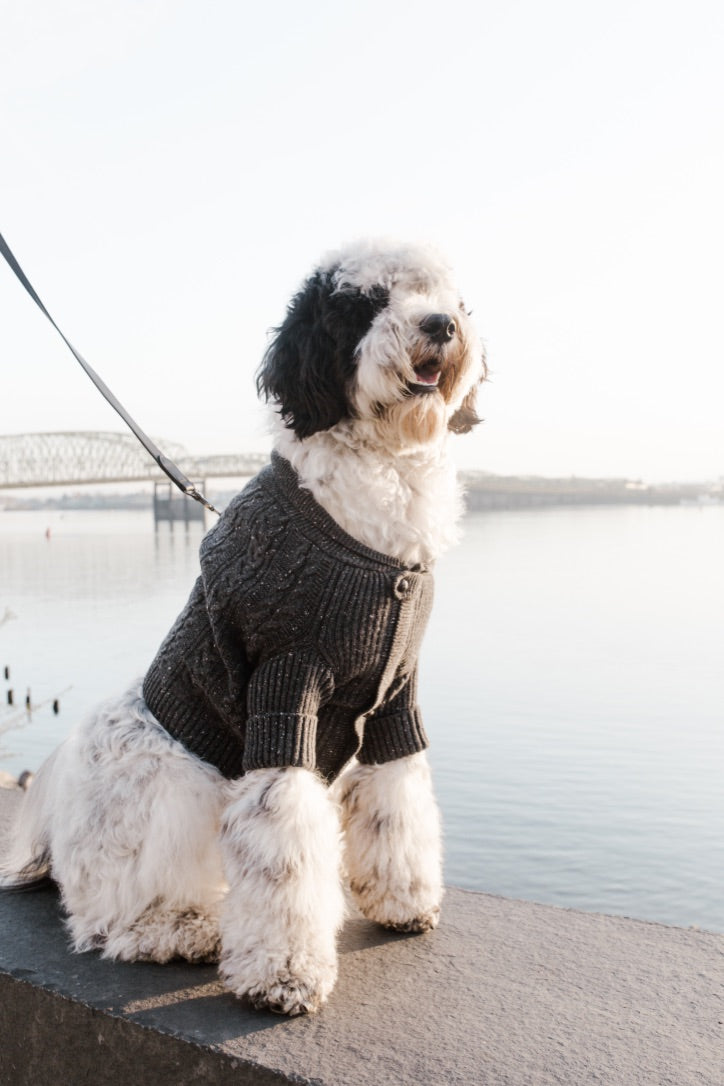 Brooklyn Cashmere Cardigan, Charcoal XL