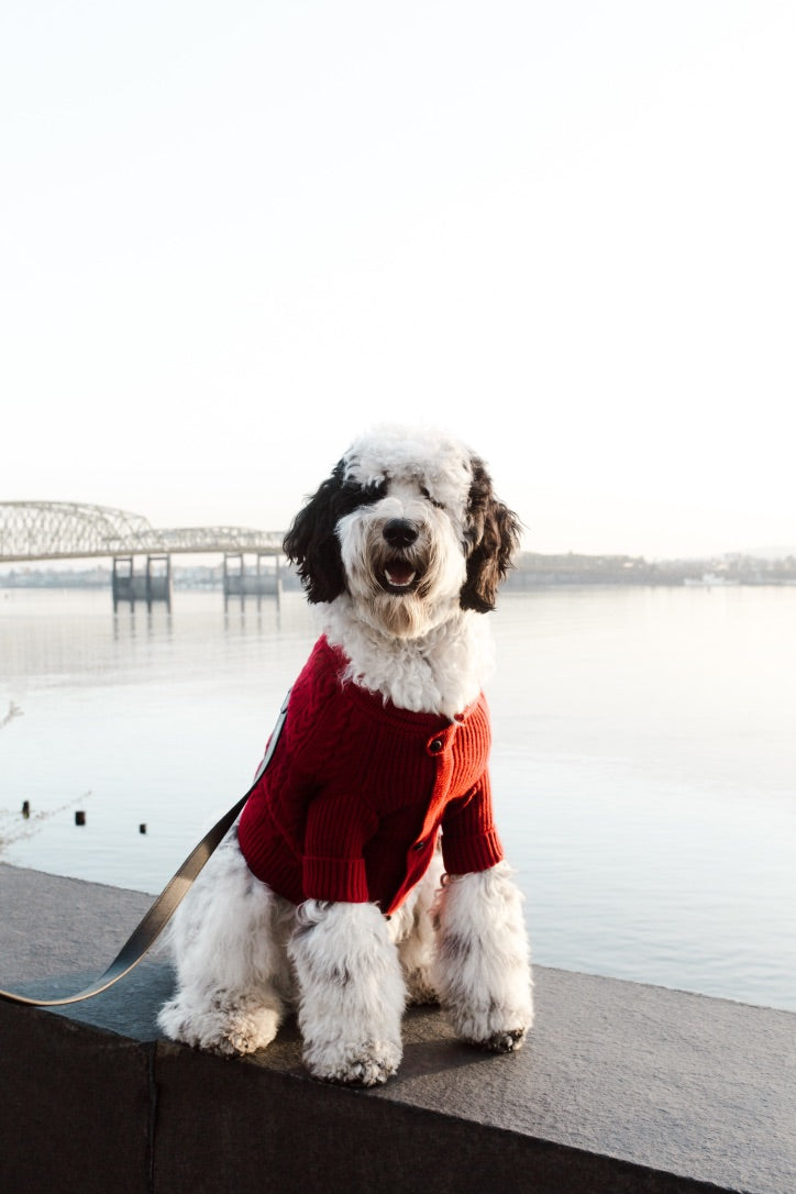 Brooklyn Cashmere Cardigan, Garnet XL