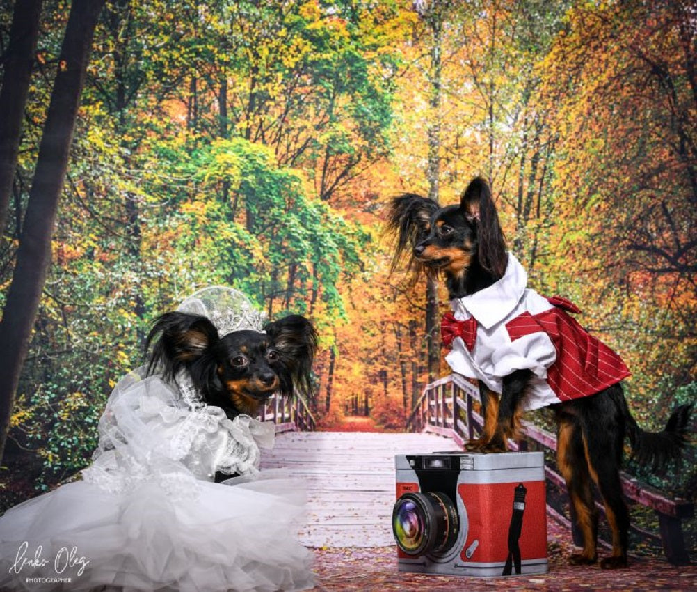 Luxury Pet Bridal Veil with Pearl Crown – Elegant Wedding Tiara Veil for Dogs & Cats