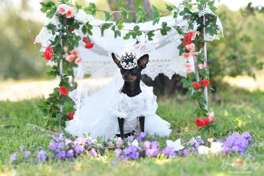 Luxury Pet Bridal Veil with Pearl Crown – Elegant Wedding Tiara Veil for Dogs & Cats