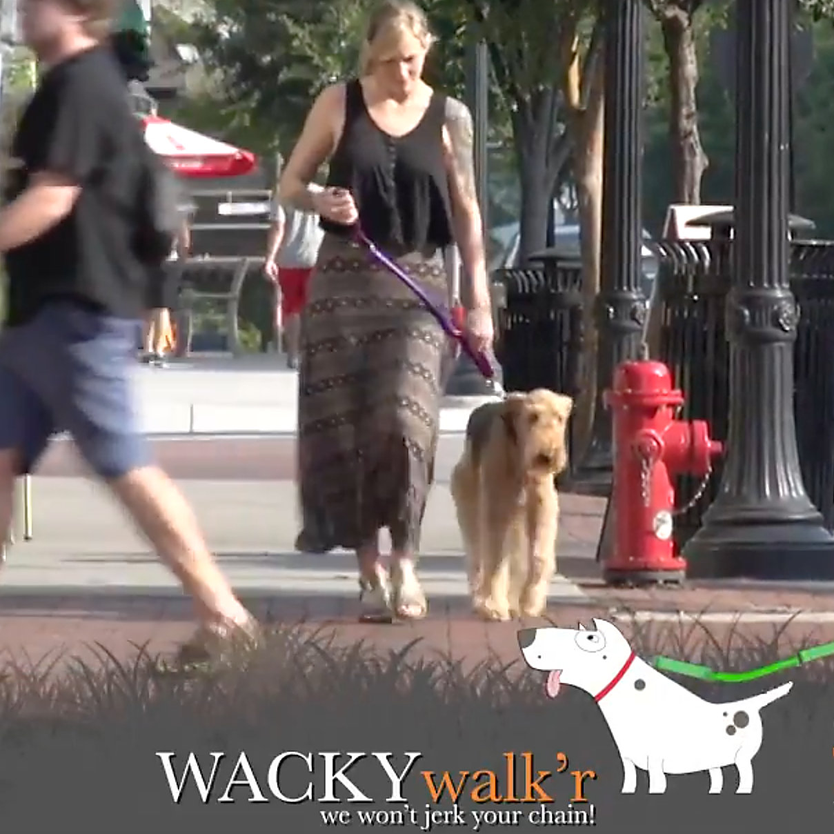 Shorter No Pull Leash - Urban Walk'r
