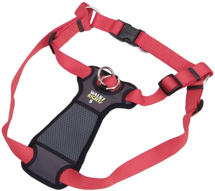 Front-Connect Harness for Dogs (Red) Large 25" - 38"