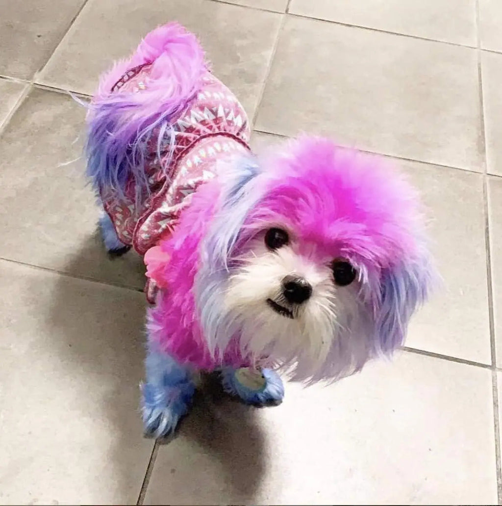 Warren London Critter Color Temporary Pet Fur Dye, Washable Non-Toxic 4oz