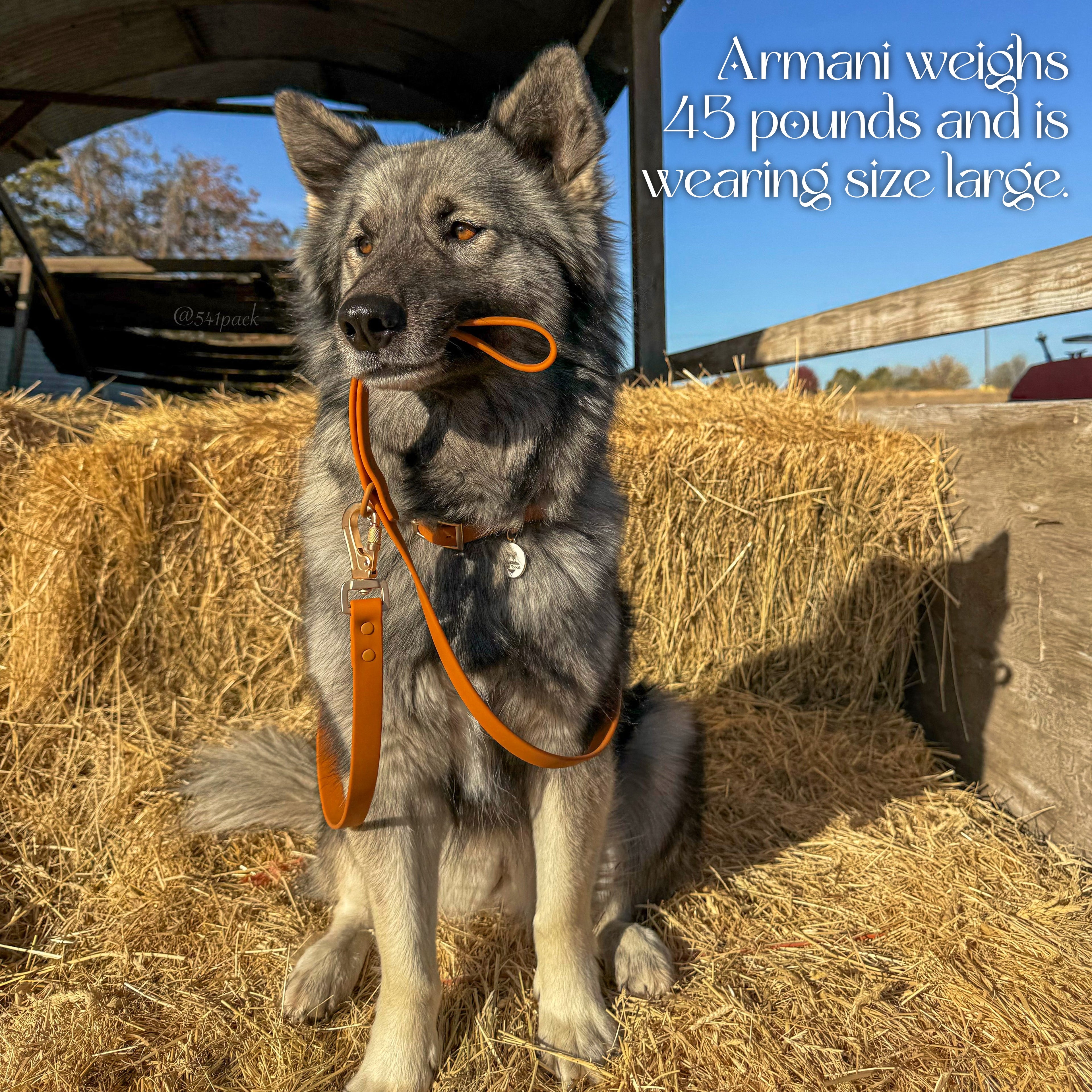 Waterproof Collar