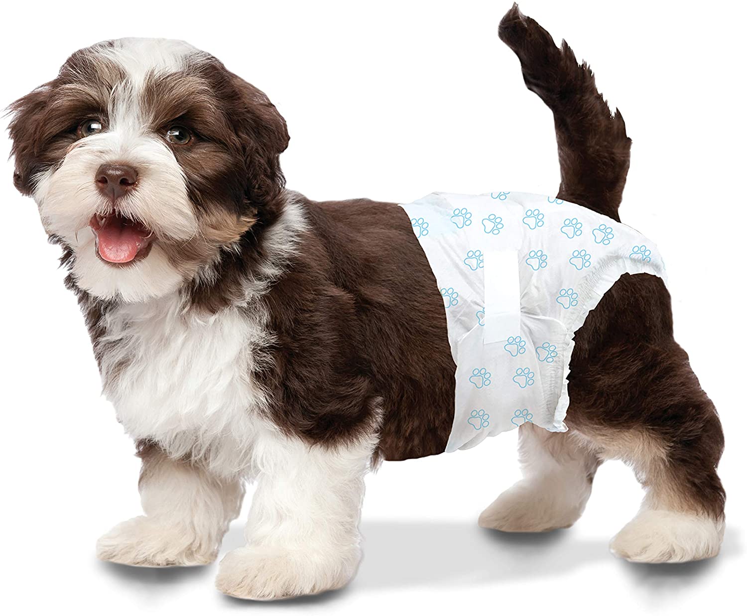 Wee-Wee Disposable Diapers XSmall