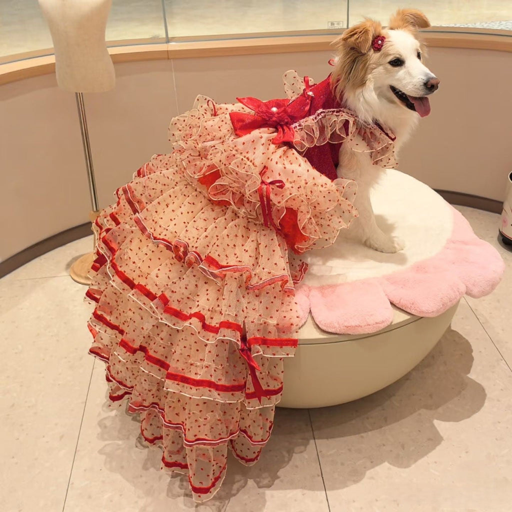 Luxury Red Ivory Pet Wedding Gown with Long Train