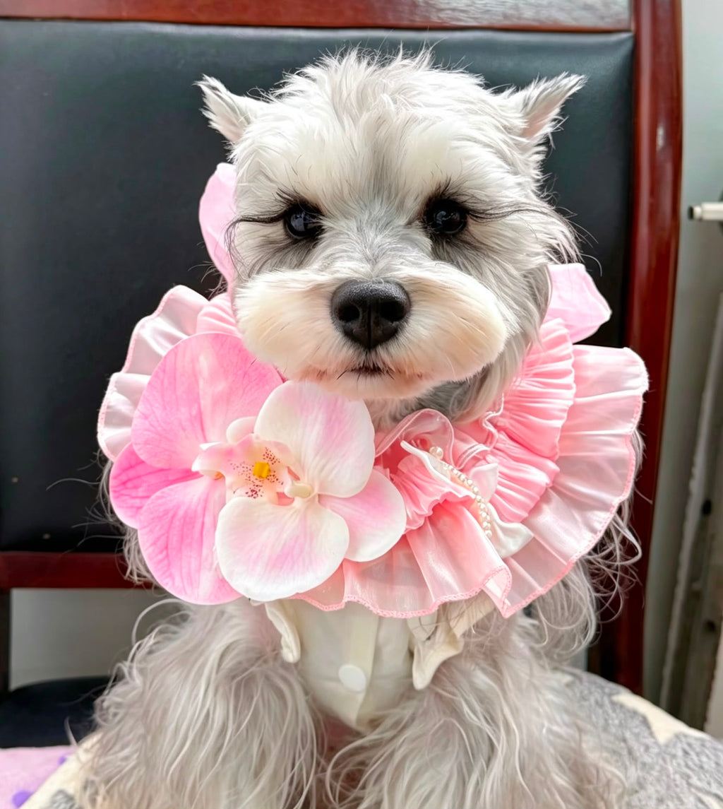 Green Floral Satin Lace Pet Bib Collar