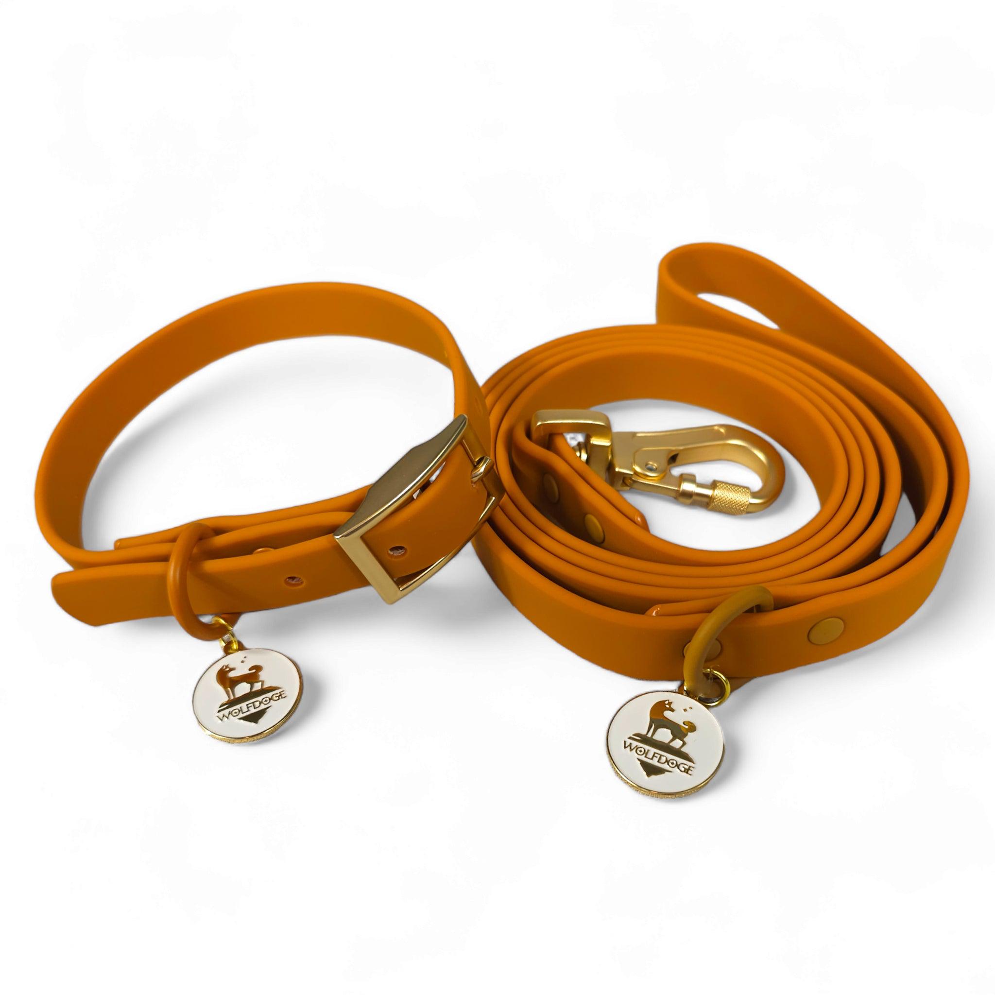 Waterproof Leash Sedona