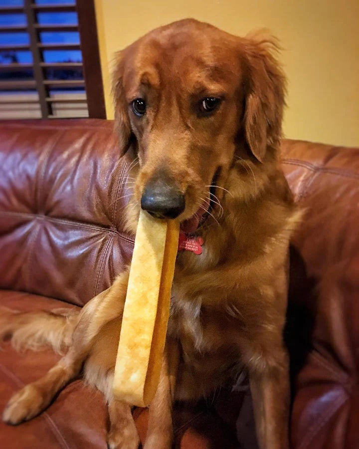 Himalayan Yak Cheese Mango Flavor Dog Chews by Yeti Large
