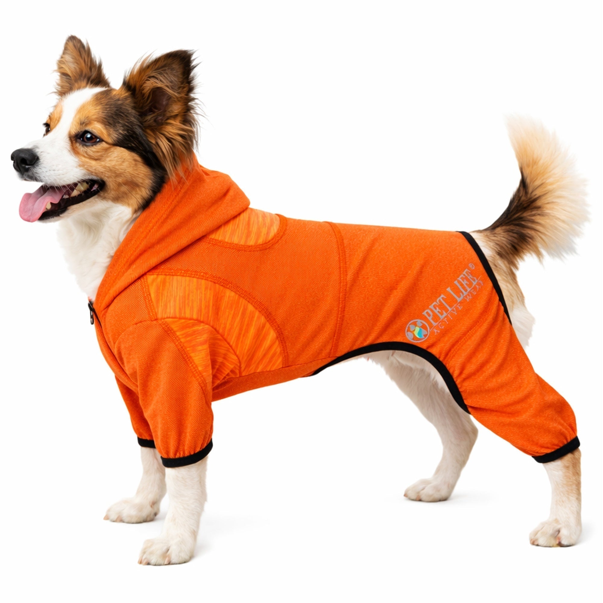 Pet Life ® Active 'Pawsterity' Mediumweight 4-Way-Stretch Yoga Fitness Dog Tracksuit Hoodie Orange