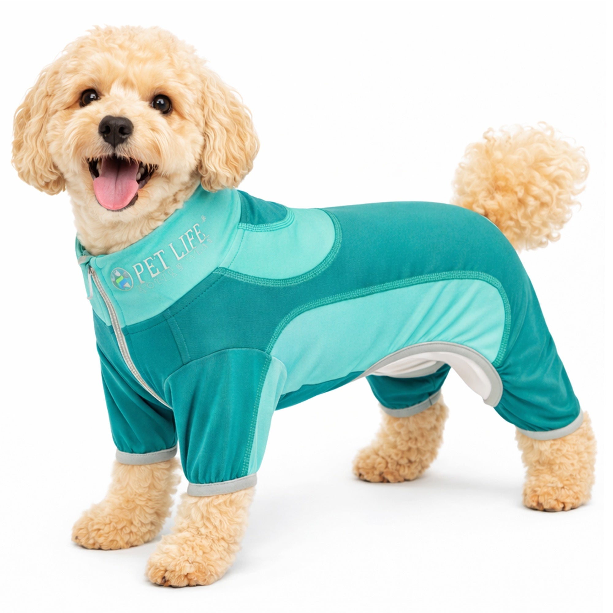 Pet Life ® Active 'Warm-Pup' Stretchy and Quick-Drying Fitness Dog Yoga Warm-Up Tracksuit Aqua Green And Green
