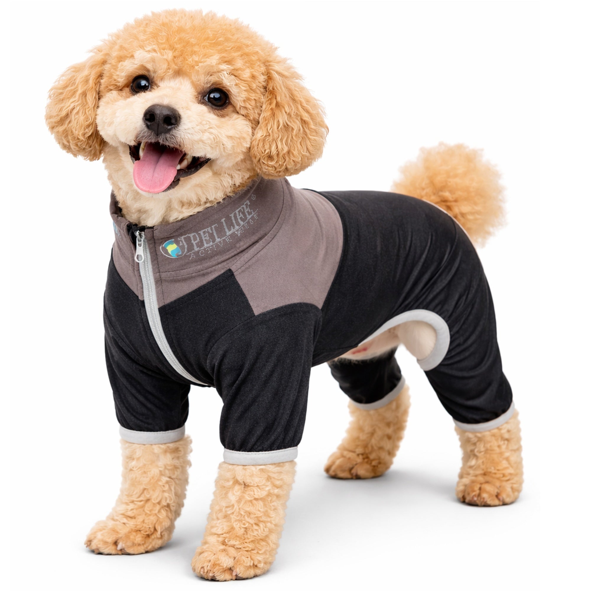 Pet Life ® Active 'Embarker' 4-Way Stretch Fitness Yoga Full Body Dog Tracksuit Black Gray