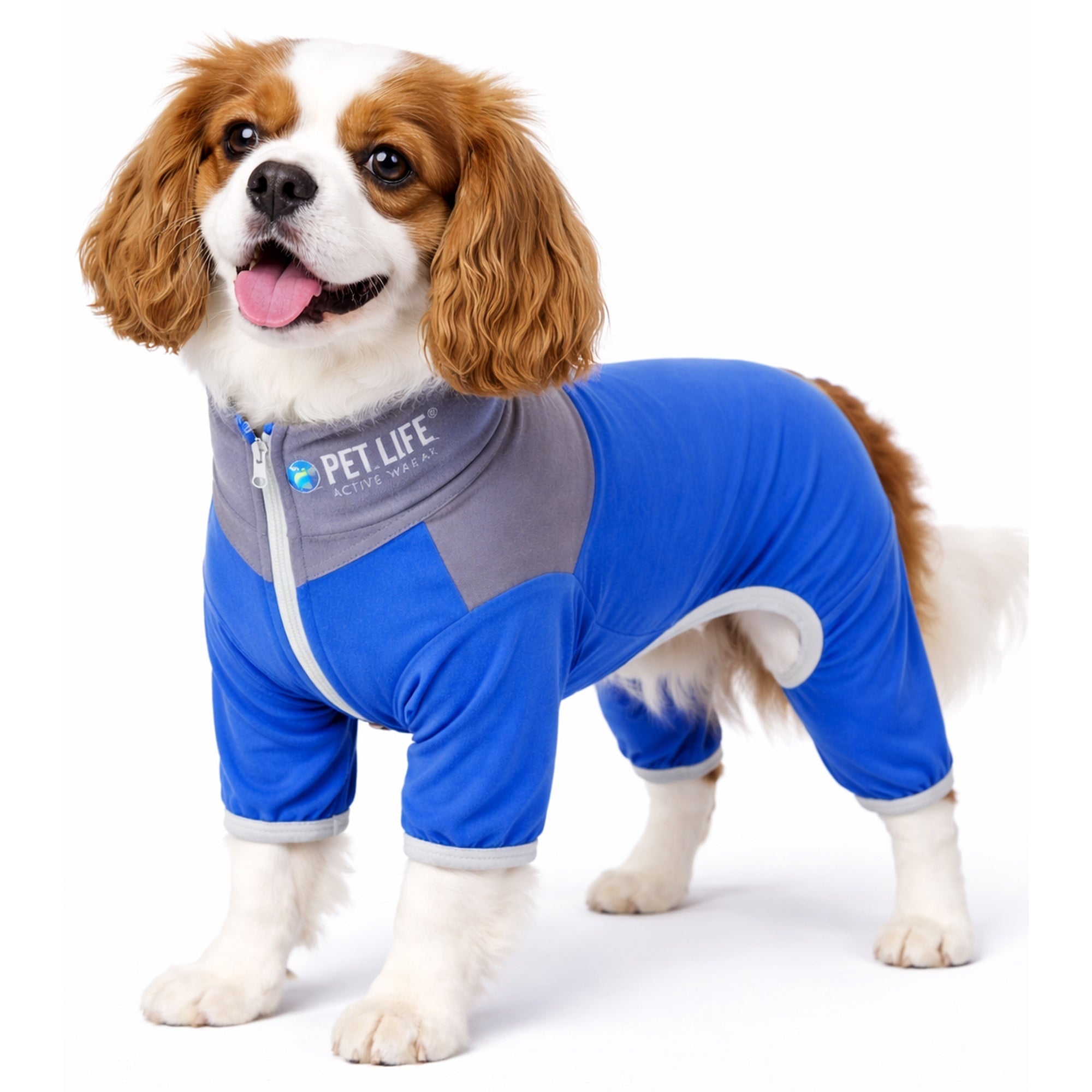 Pet Life ® Active 'Embarker' 4-Way Stretch Fitness Yoga Full Body Dog Tracksuit Blue