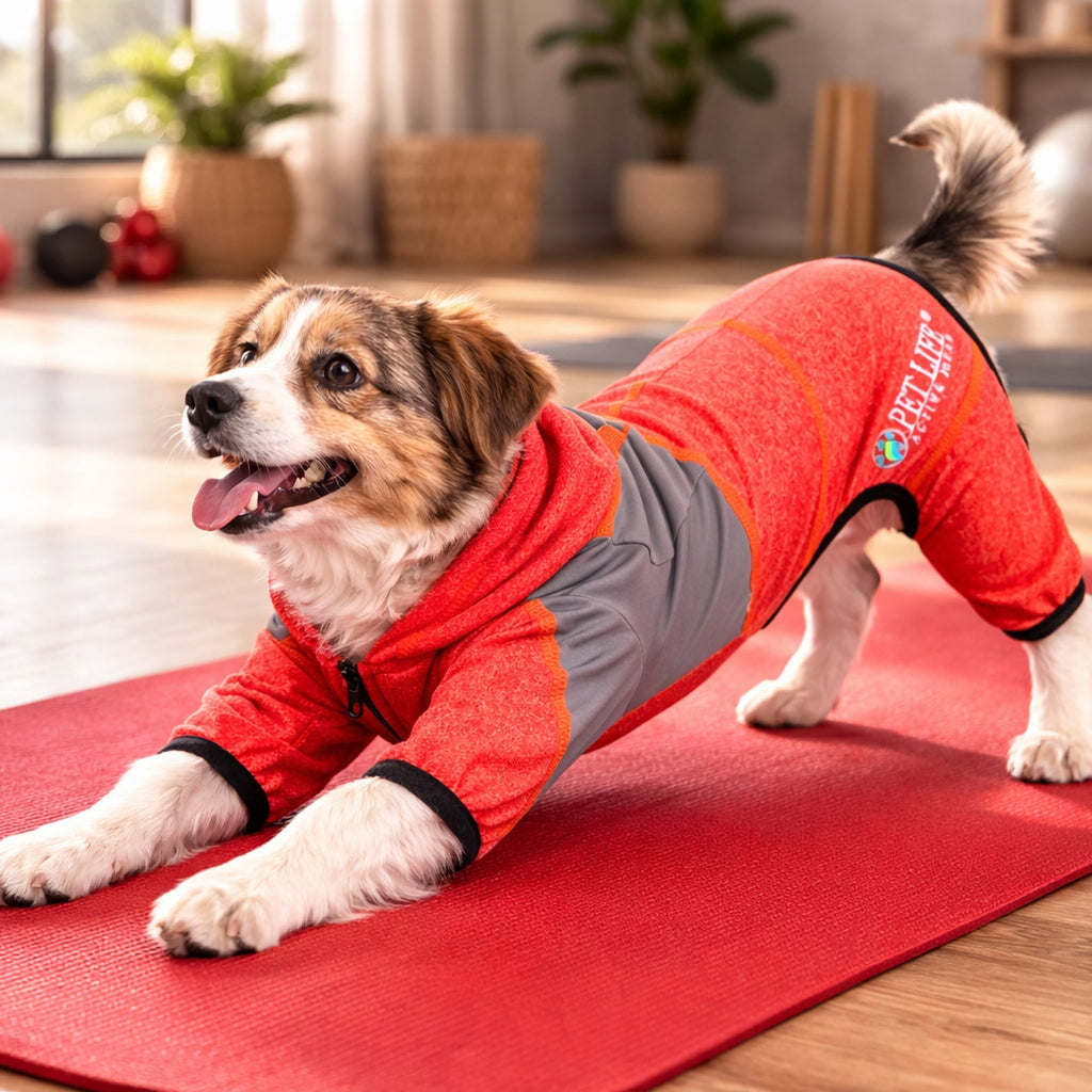 Pet Life ®  Active 'Fur-Breeze' Medium-weight 4-Way-Stretch Full Body Hooded Dog Yoga sweater