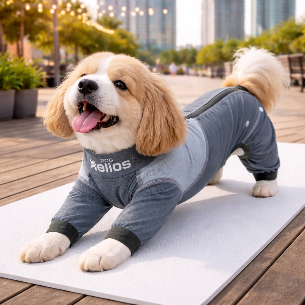 Dog Helios ® 'Tail Runner' Lightweight 4-Way-Stretch Breathable Yoga Dog Tracksuit