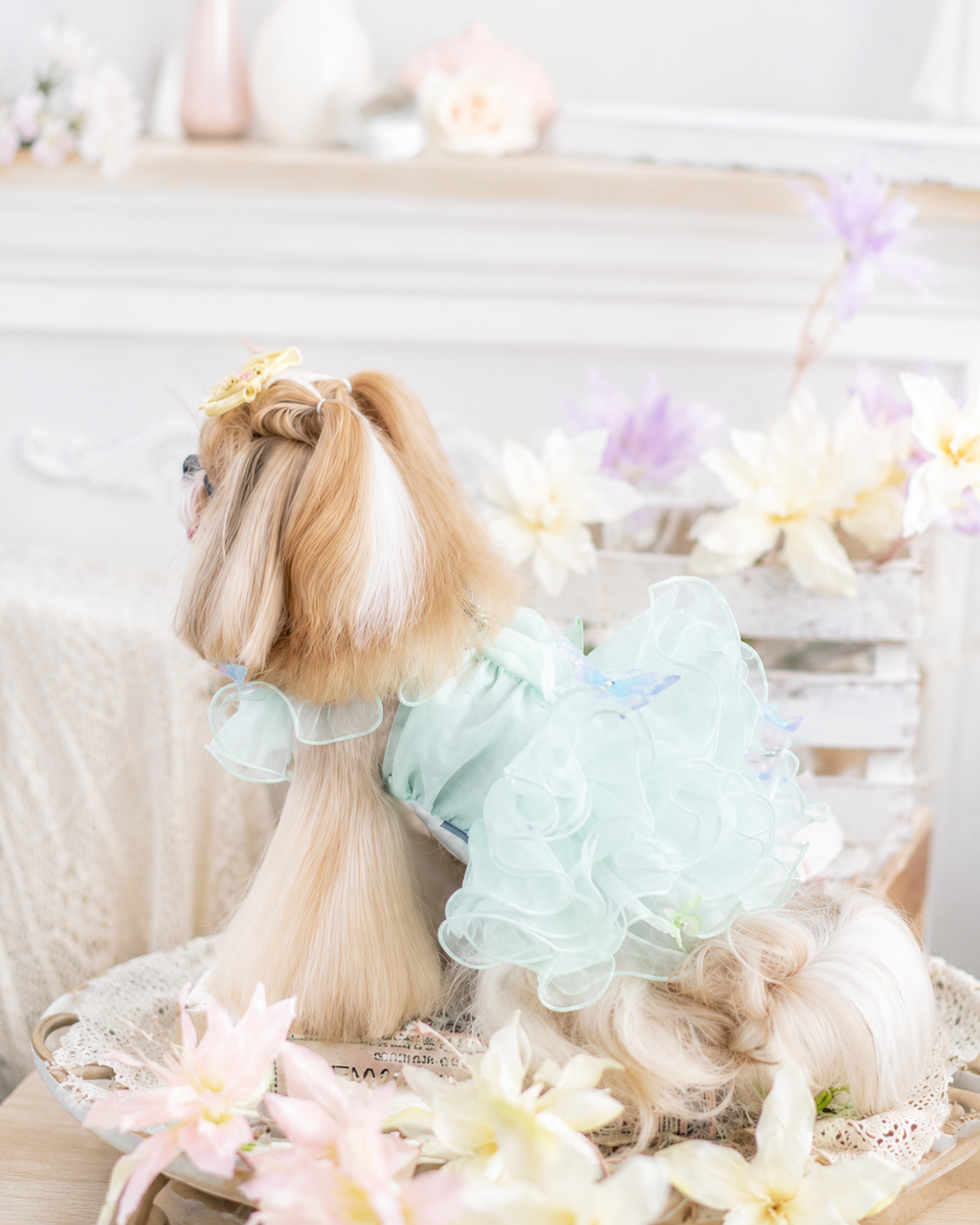 Butterfly Fairy Princess Dog Dress | Luxury Tulle Pet Party Dress