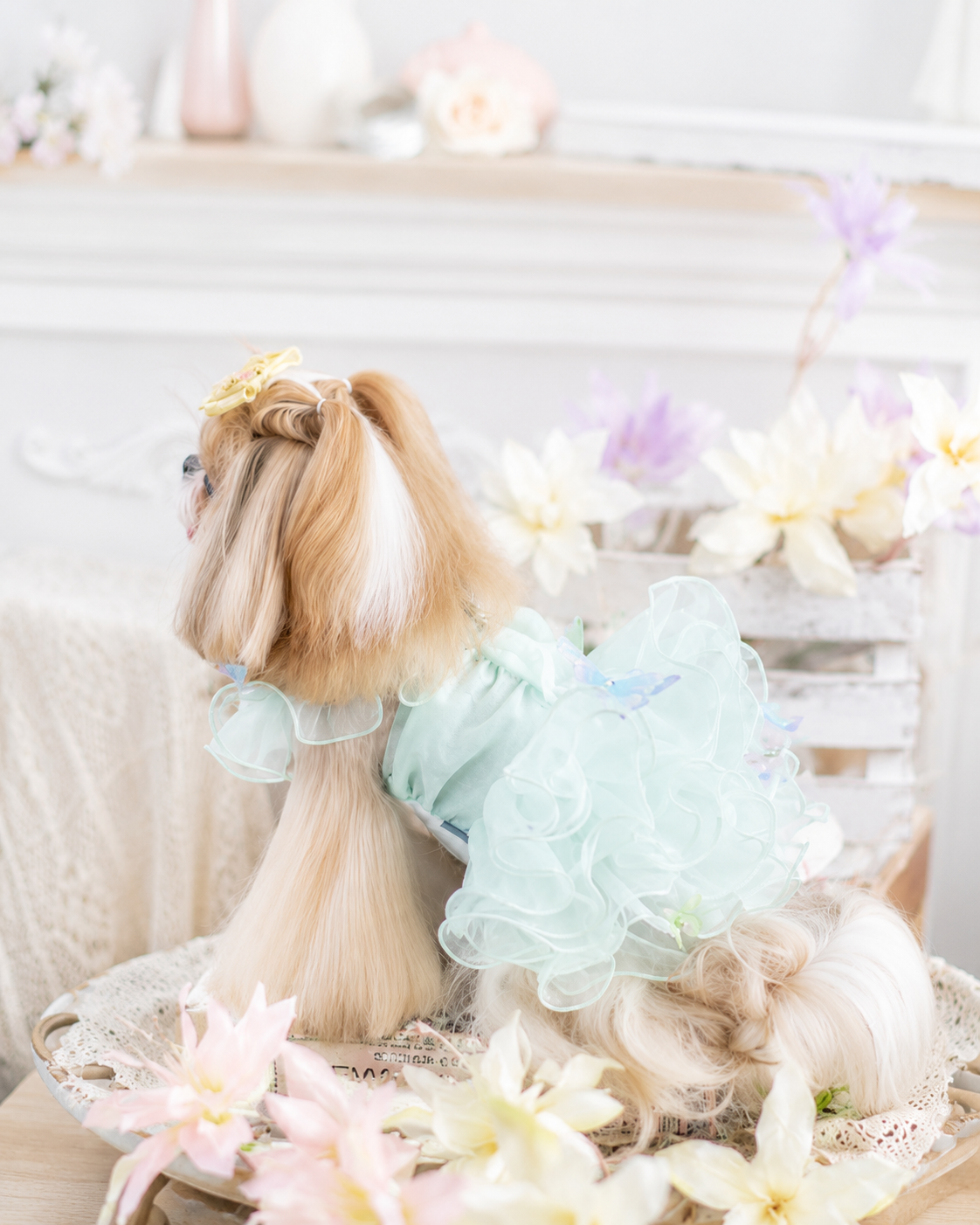 Butterfly Fairy Princess Dog Dress | Luxury Tulle Pet Party Dress