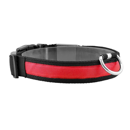 GBruno LED Dog Collar USB Red