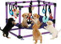 Indoor Puppy Play Gym with Hammock 8 Toys Dog Enrichment Activity Center Purple
