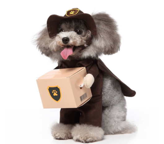 Funny Cosplay Pet Costume Set: Cute Cartoon Dog Outfit For Halloween And Christmas Dress-Up Mover