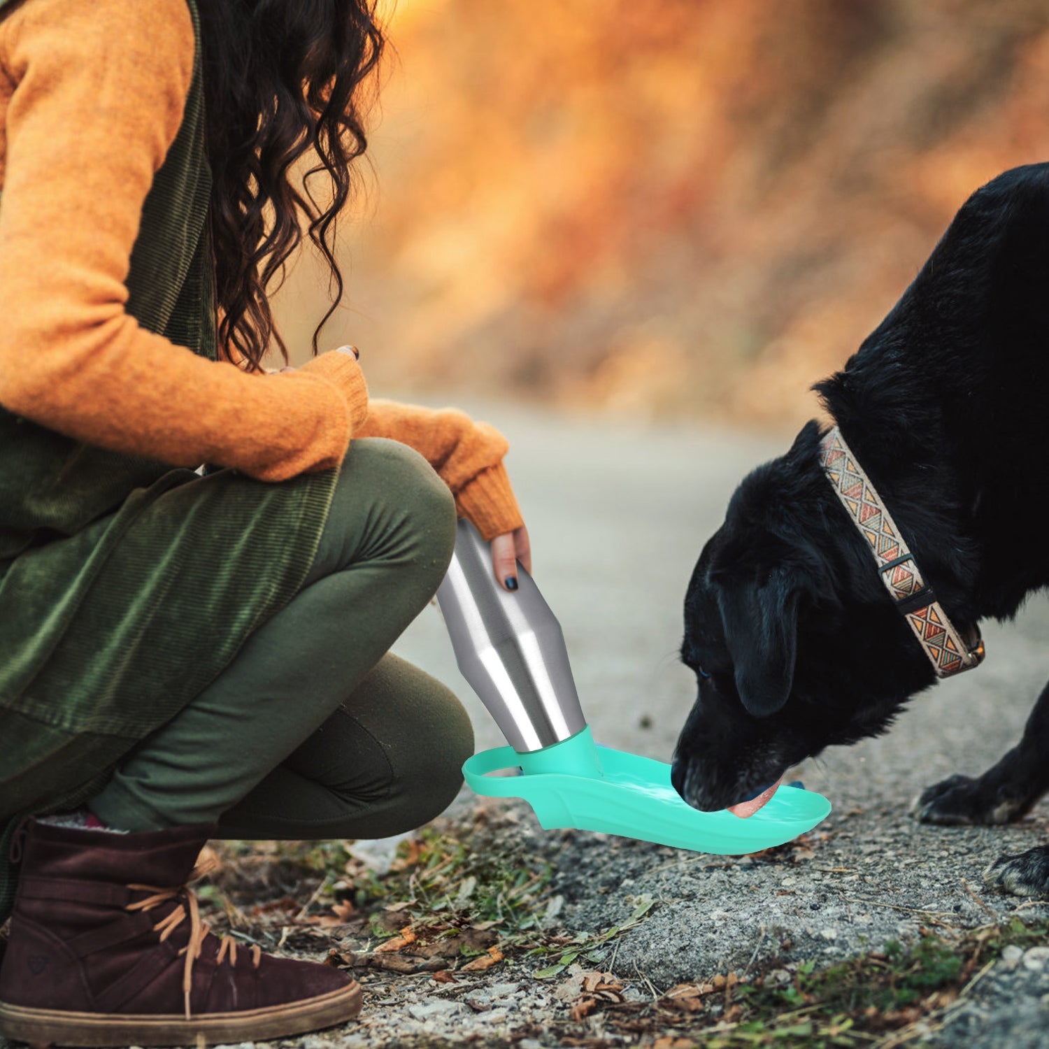 GBruno 25OZ Portable Dog Water Bottle